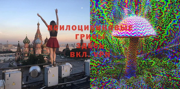 марки lsd Богданович