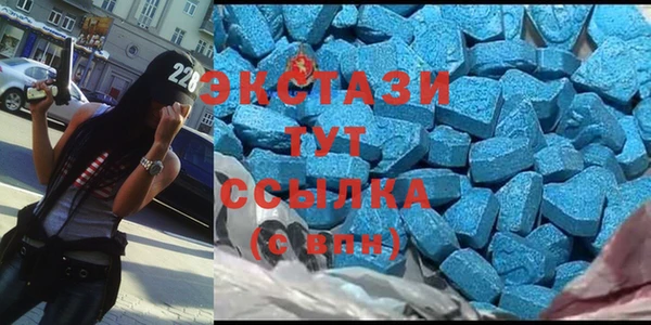 ECSTASY Богородицк