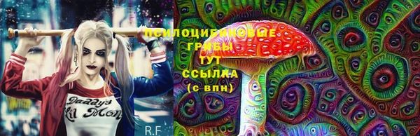 ECSTASY Богородицк