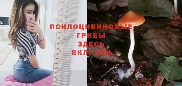 марки lsd Богданович