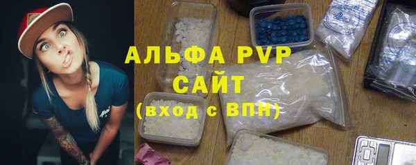 ECSTASY Богородицк