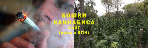 ECSTASY Богородицк