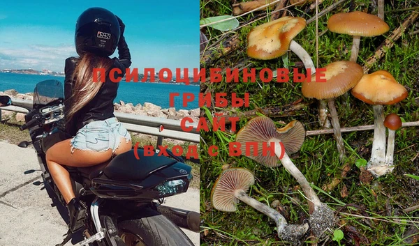 марки lsd Богданович