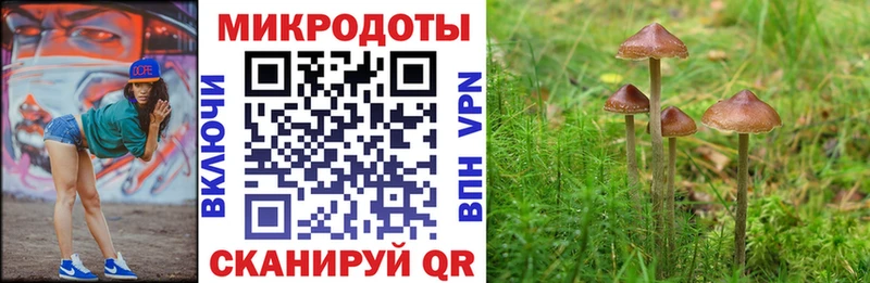 закладка  Новочебоксарск  Псилоцибиновые грибы Magic Shrooms 